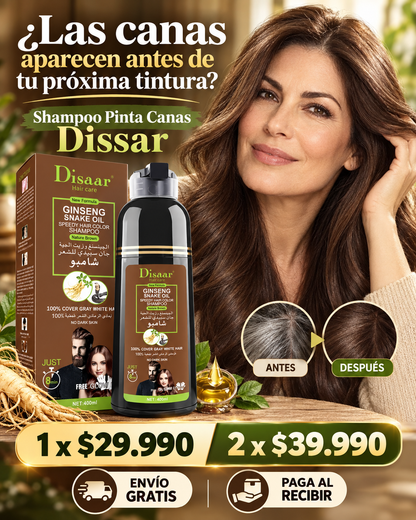 Shampoo Pinta Canas Dissar